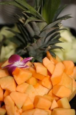Catered food 1